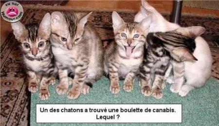 mdr